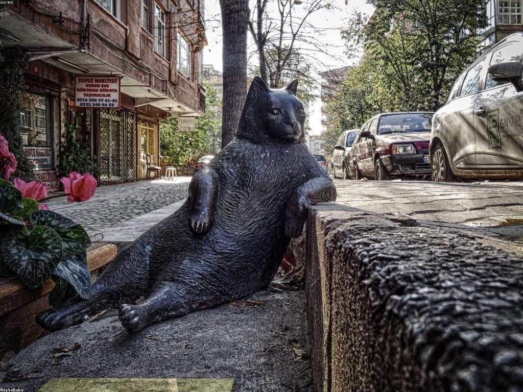 ការយល់ដឹងអំពីកាស៊ីណូបូណូ